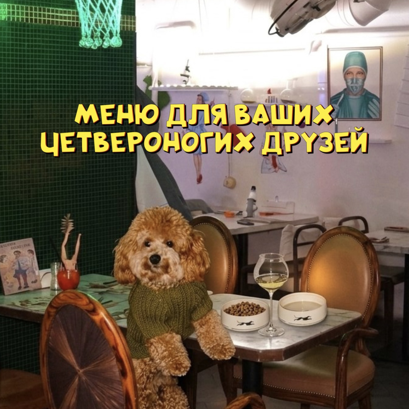 Специальное меню для ваших четвероногих друзей.